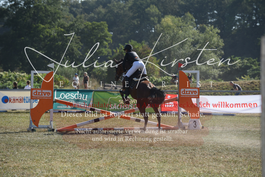 DSC_6120 | Pferde- und Turnierfotografie in Westsachsen. Pferdeportraits, Auftragszeichnungen und intuitive Kunst.