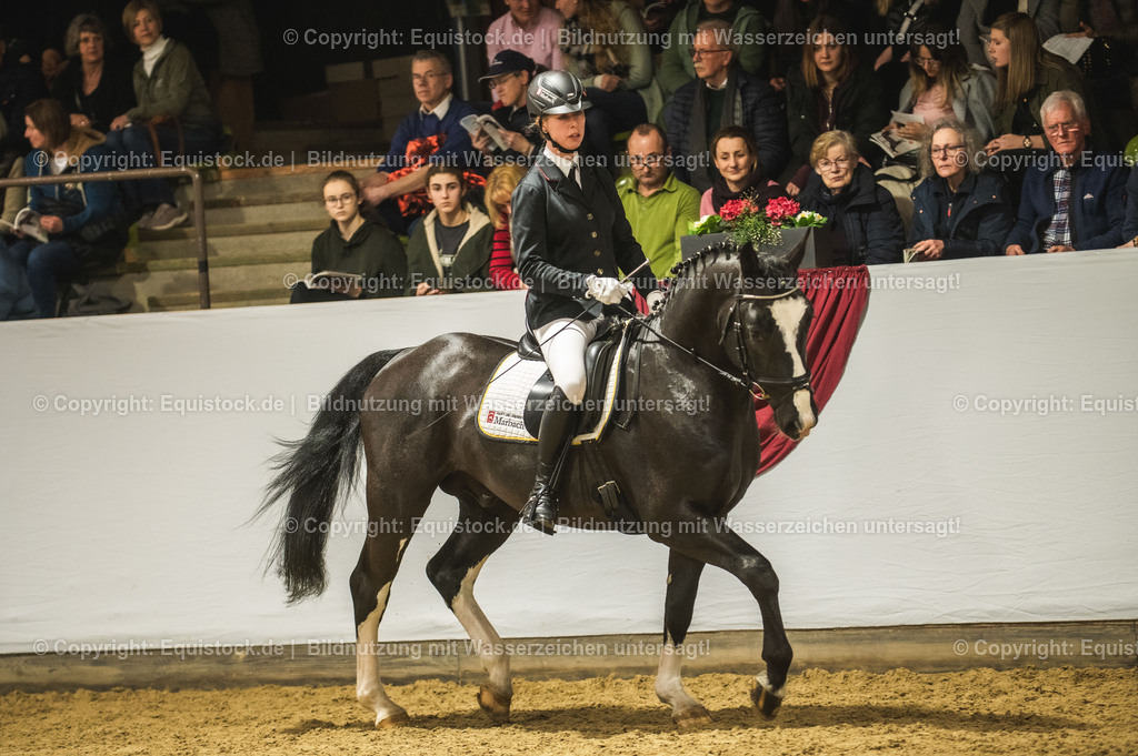 20240302_Hengstvorstellung_Marbach_TOMsPiC_0678 | equistock