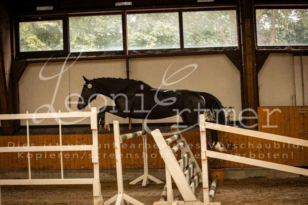 2FS_L00053 | Leoni Ertmer Photography - Realisiert mit Pictrs.com