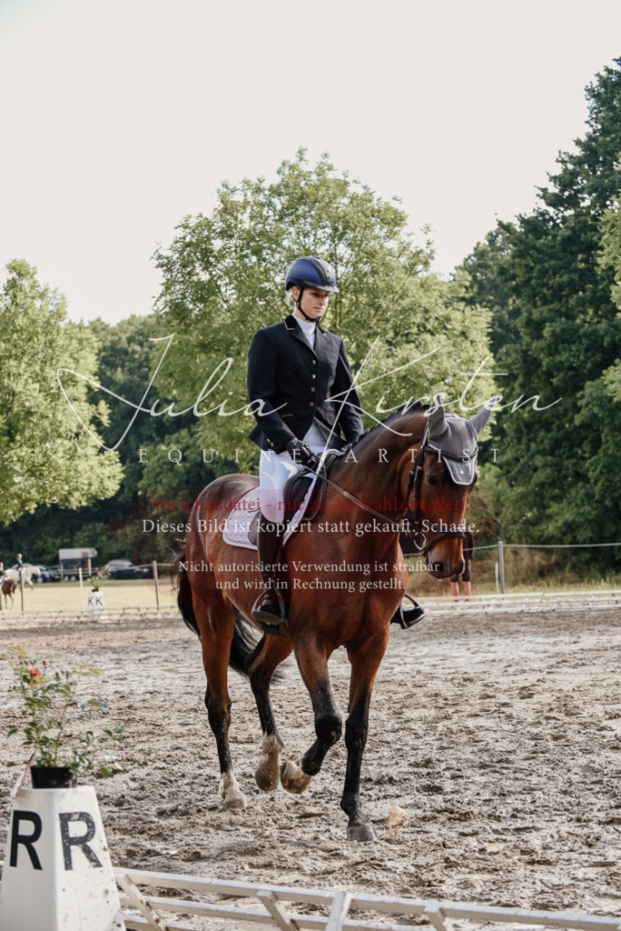 DSC_9028 | Pferde- und Turnierfotografie in Westsachsen. Pferdeportraits, Auftragszeichnungen und intuitive Kunst.