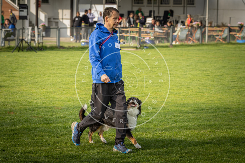 Pfotenfotografie_DV3A4813 | Hundefotografie, Tierfotograf, Pfotenfotografie, Fotoshooting Hund, Hunde Portrait, Hundesport, Hundeportraits, Heideshooting, Hunde, Sportfotograf, Hundefotograf, Turnierhundsport, THS,  - Realisiert mit Pictrs.com