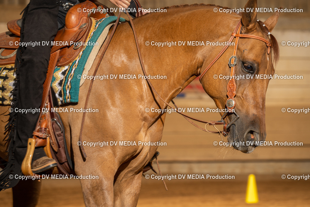 NID03535 | dv-media-shop - Realisiert mit Pictrs.com