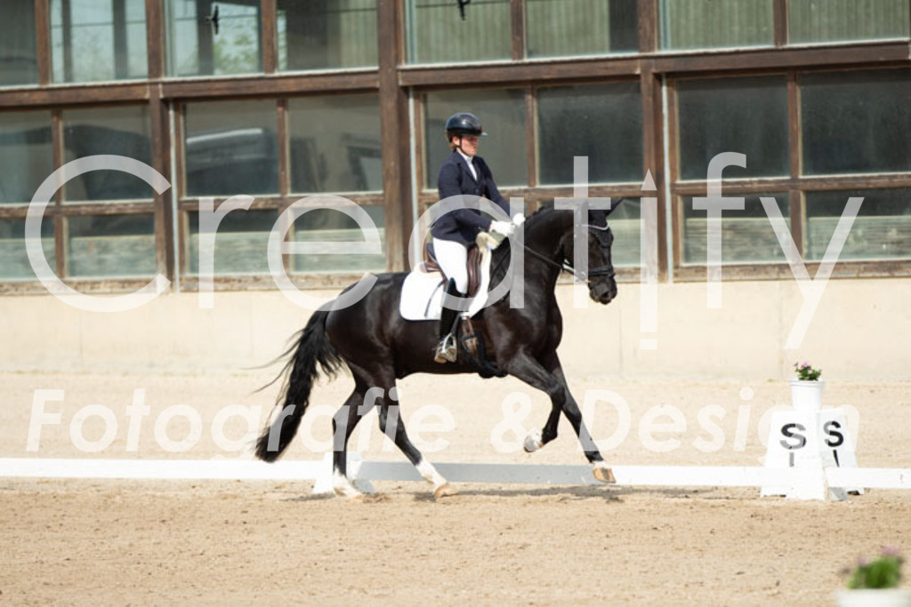 IMG_1741 | Creatify Fotografie