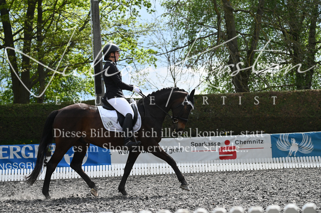 20230512_JK-Röhrsdorf-08-165 | Pferde- und Turnierfotografie in Westsachsen. Pferdeportraits, Auftragszeichnungen und intuitive Kunst.