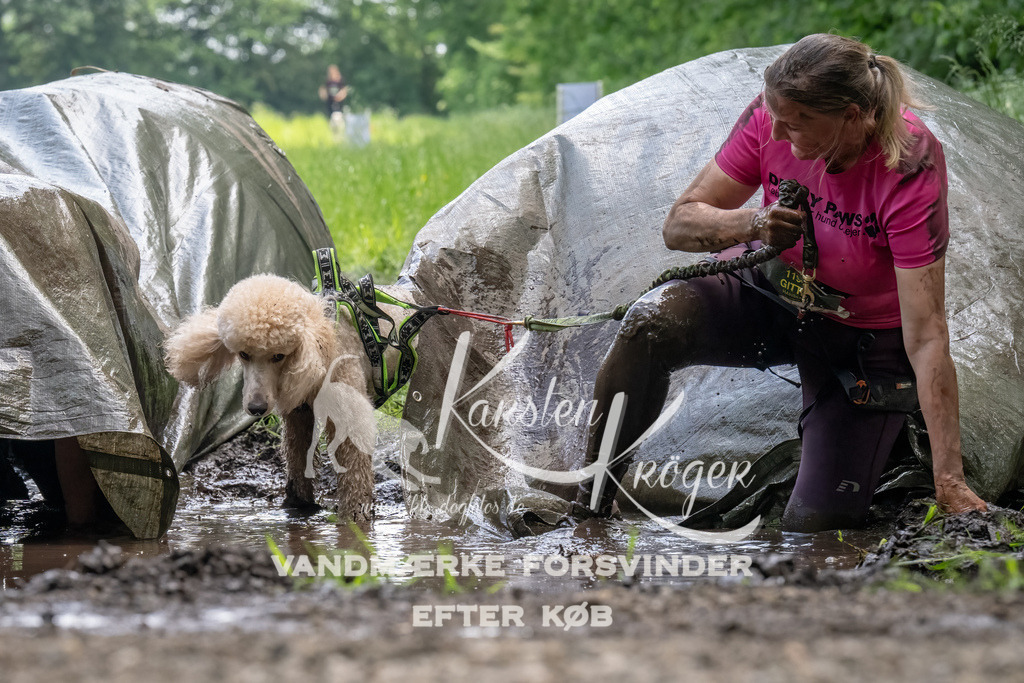 1143_ZZ94201-Bearbeitet | kk-dogfotos