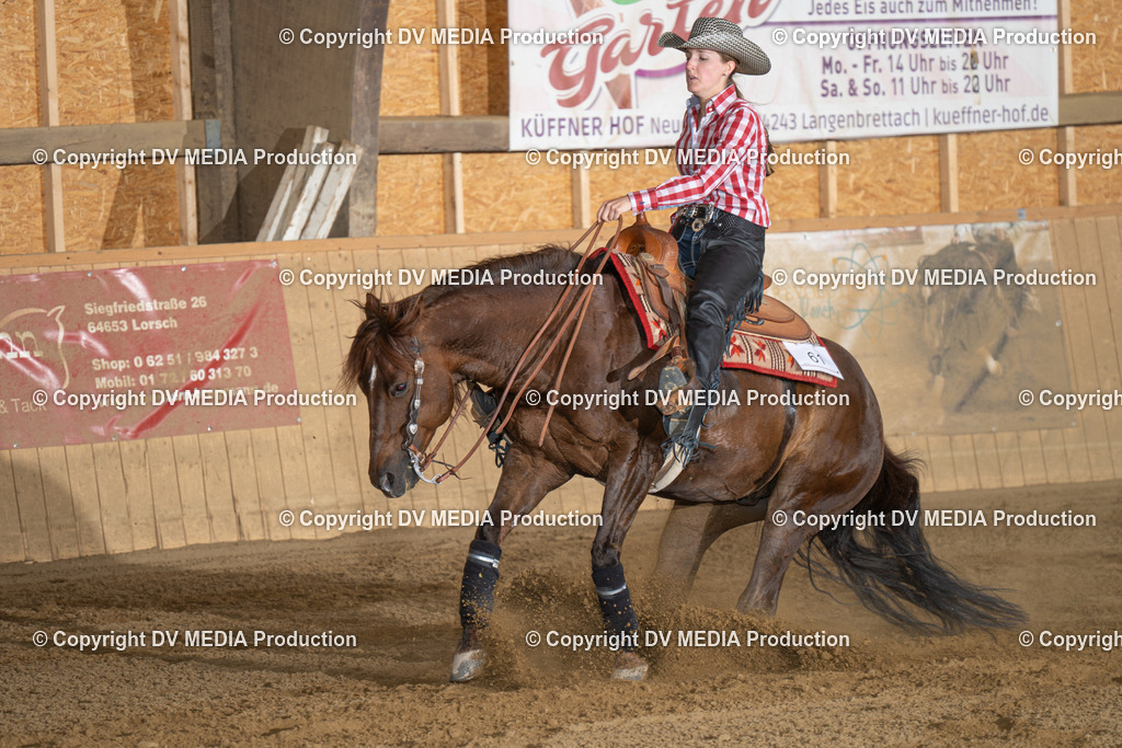 DSC00083 | dv-media-shop - Realisiert mit Pictrs.com