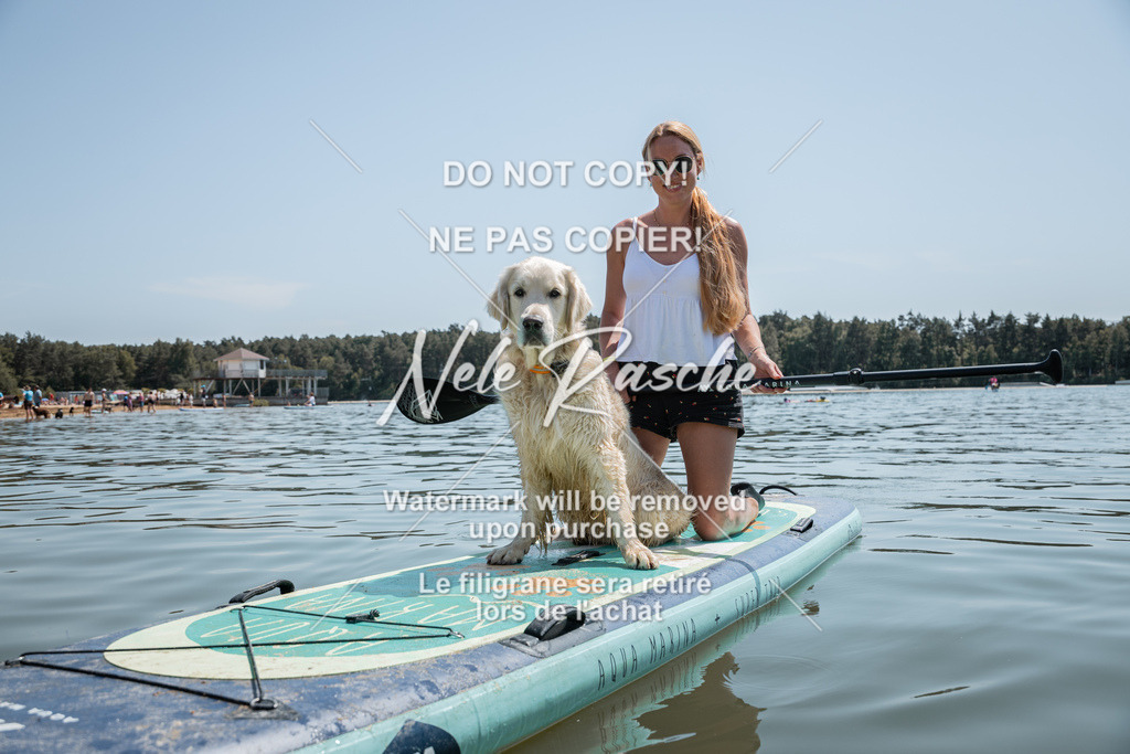 nelerasche_saSUP2_64 | nelerasche