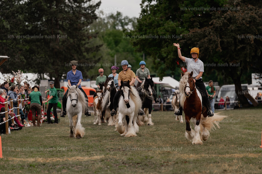 Showprogramm-403 | working equitationturnier fotograf videograf stoibphotography marixx film working equitation deutschland reitsport turnierfotografie eventfotografie equestrian events