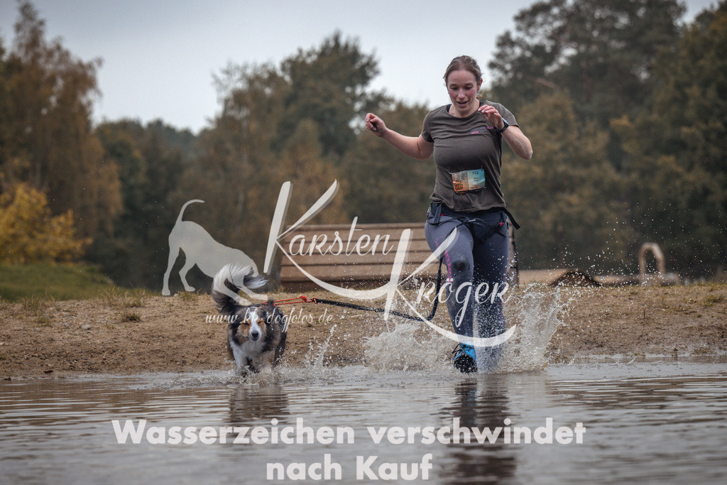 1313_ZZ93539 | kk-dogfotos