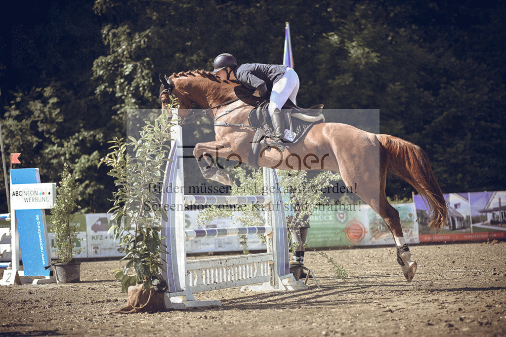 20240530-DOS_0762 | Entdecke hochwertige Reitturnierfotos von Foto Oger. Professionell, emotional und authentisch – jetzt Lieblingsmomente im Shop bestellen.Deutschlandweite Turnierfotografie. - Realisiert mit Pictrs.com