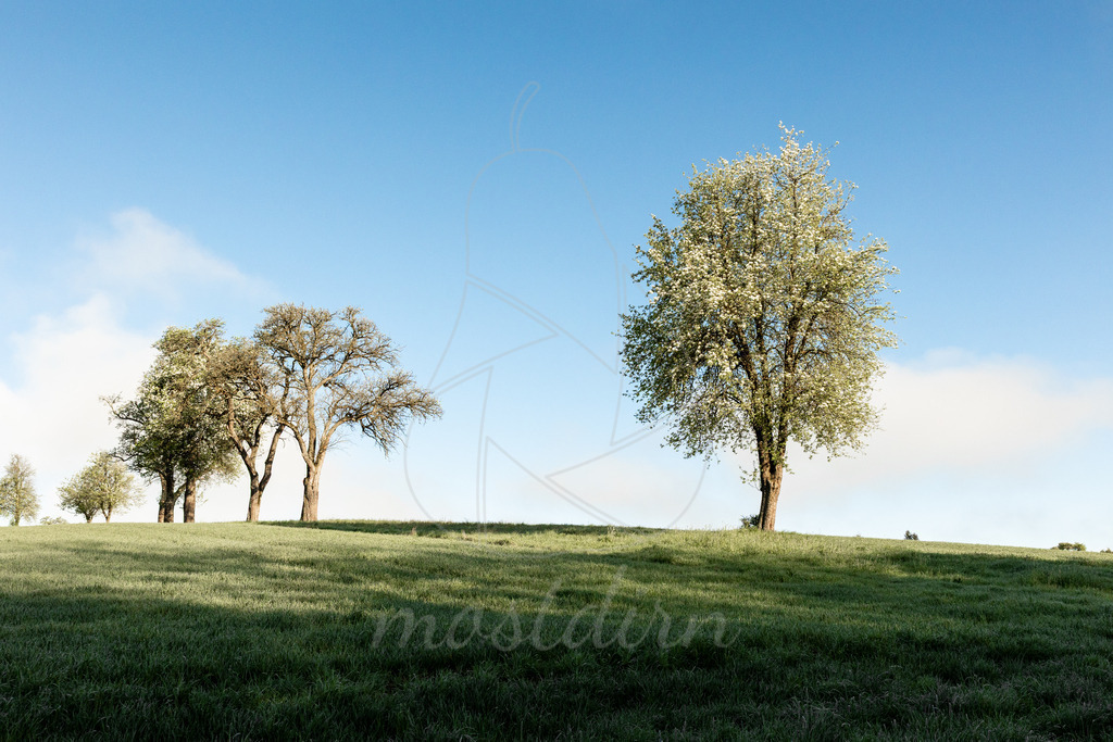 Der Nebel lichtet sich | Ihre Fotografin im Lungau, ihre Fotografin im Mostviertel, Wandbilder Onlineshop, Imagefotos für Ihr Unternehmen,  - Realisiert mit Pictrs.com