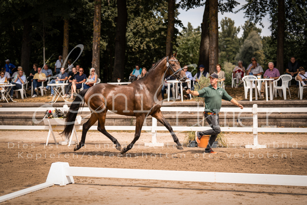 2. Fr00033 | Leoni Ertmer Photography - Realisiert mit Pictrs.com