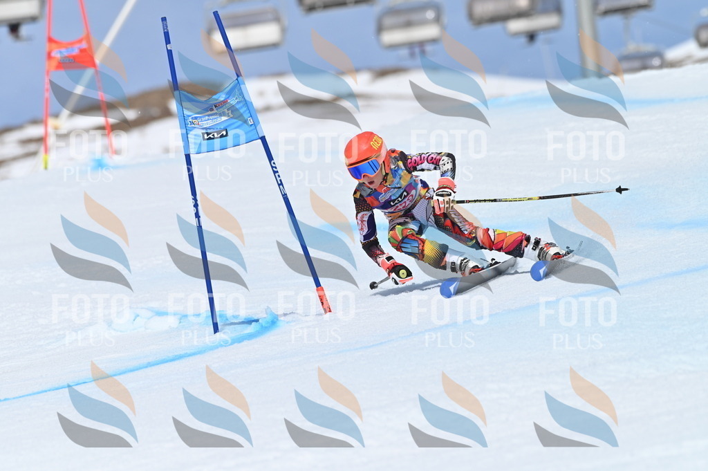 BGV_1484 | holidayphoto