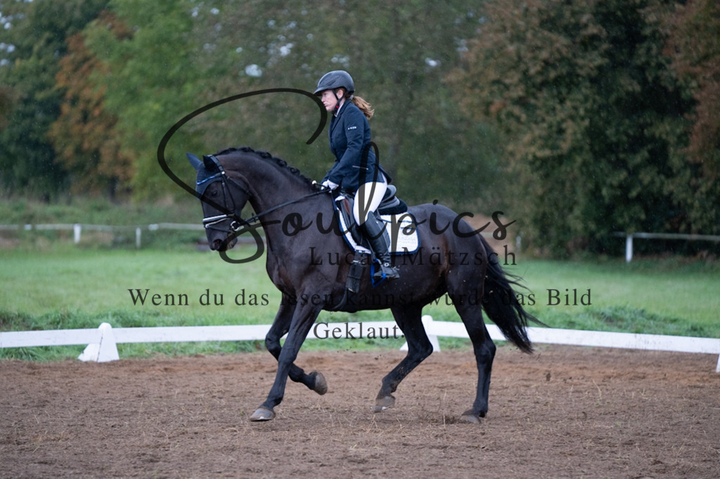 A7V05961 | Pferdefotograf