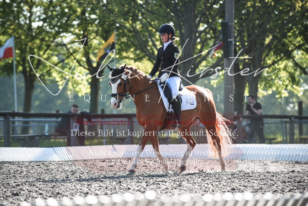 DSC_8267 | Pferde- und Turnierfotografie in Westsachsen. Pferdeportraits, Auftragszeichnungen und intuitive Kunst.