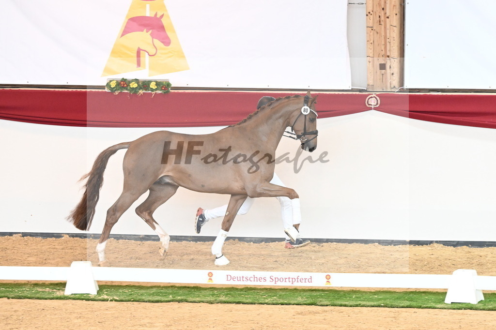 Kat.-Nr. 80 v. Vivino_Schepergerdes_2241078 | hf-fotografie - Realisiert mit Pictrs.com