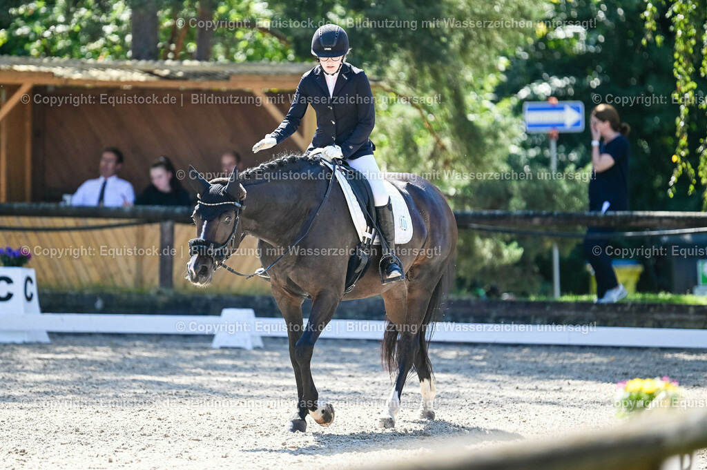 20230908_06_Dressur-L-Trense_0588 | equistock
