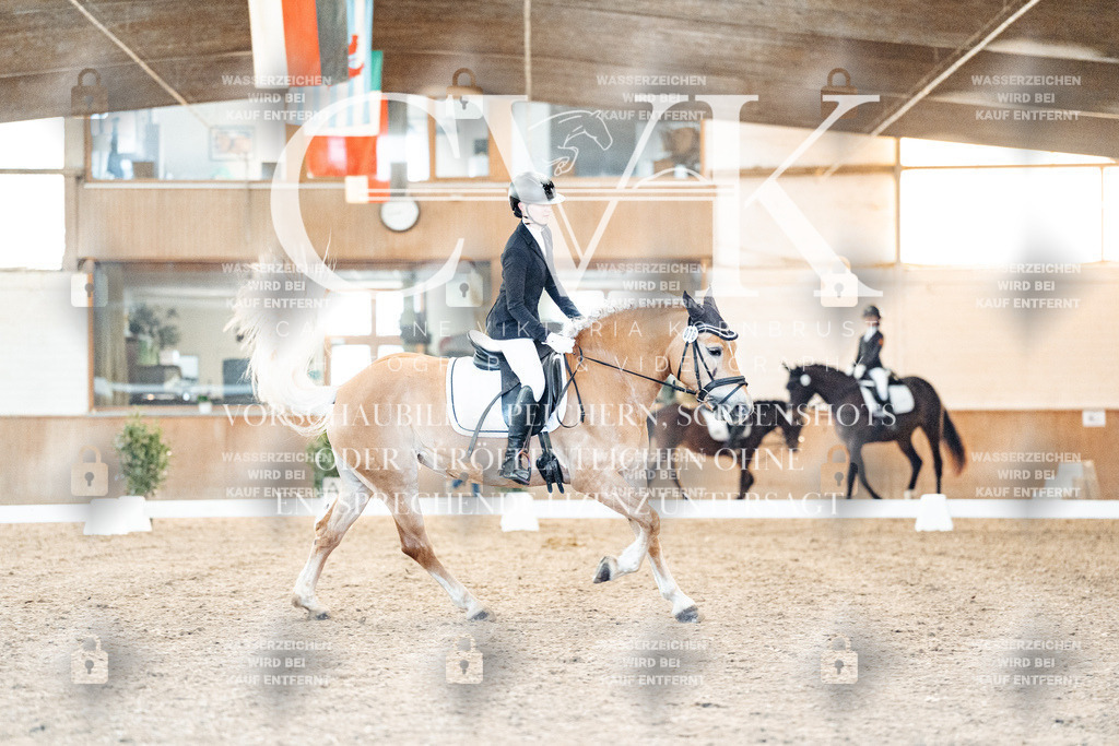 CK907085 | Turnierfotografie Pferdefotografie Trier Rheinland-Pfalz Pferdesport Reitsport Tierfotografie Sportfotografie Pferdevideo Pferdevideografie Equestrianvideography equestrianphotography  - Realisiert mit Pictrs.com
