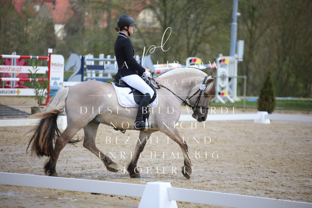 IMGT3347 | pl-fotografie