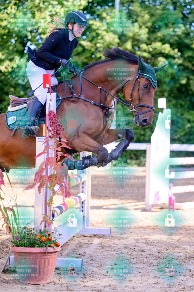 30082026-Giesenbach-Prfg16-0448 | Fokus Hufschlag Fotografie - Realisiert mit Pictrs.com