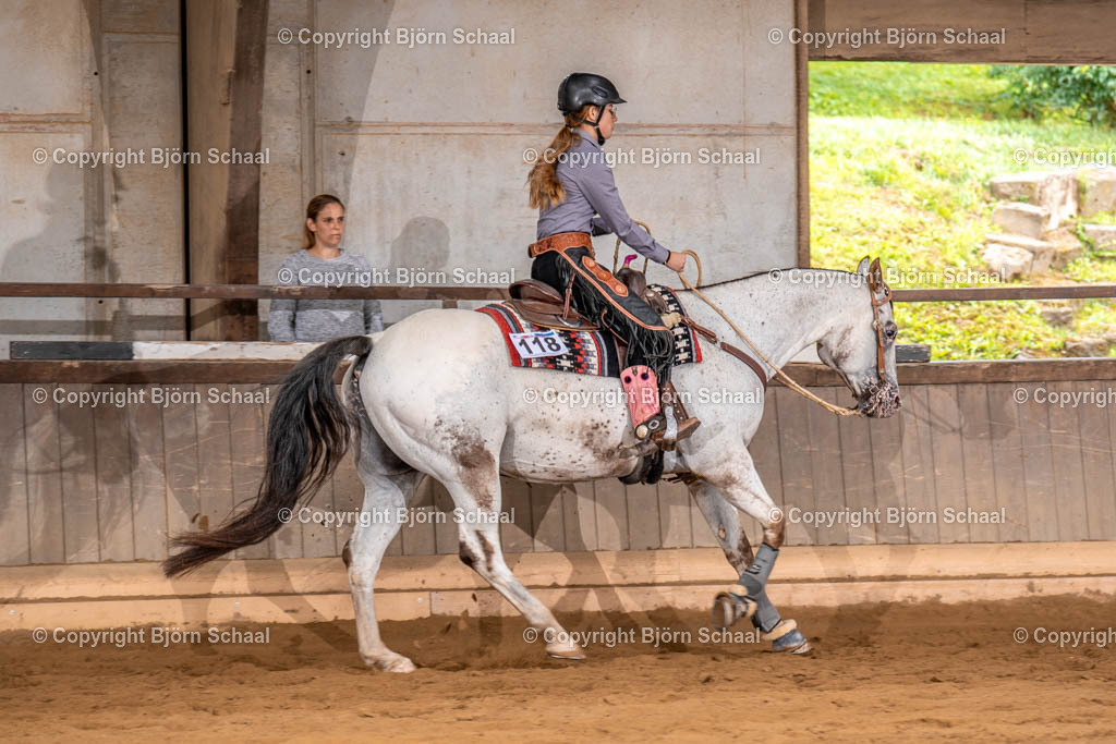 LMS03243 | BS-foto