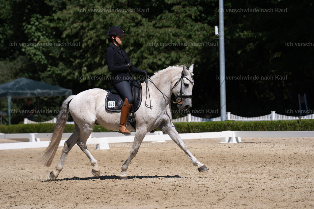 SIN03284 | working equitationturnier fotograf videograf stoibphotography marixx film working equitation deutschland reitsport turnierfotografie eventfotografie equestrian events