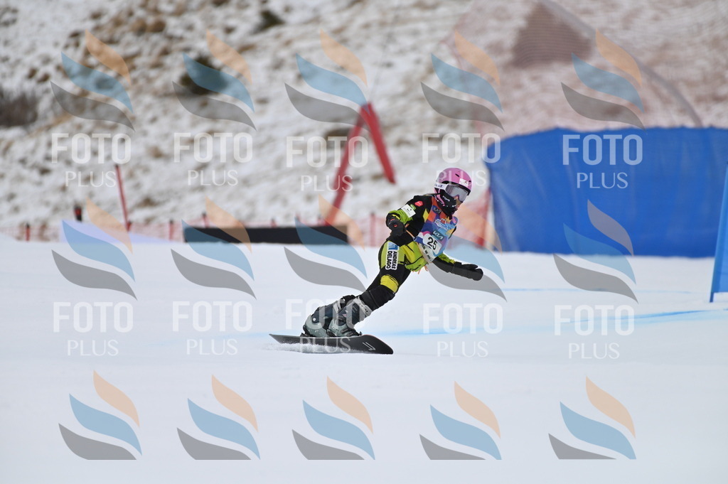 BGV_4903 | holidayphoto