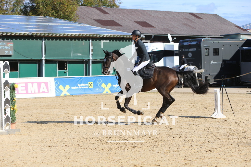 DL2Q5240 | Willkommen bei Brunnmayr - Design & Fotografie – Ihrem Spezialisten für Reitturniere und Pferdeveranstaltungen in Oberösterreich, Salzburg und Bayern! Seit über 17 Jahren sind wir leidenschaftlich dabei.
