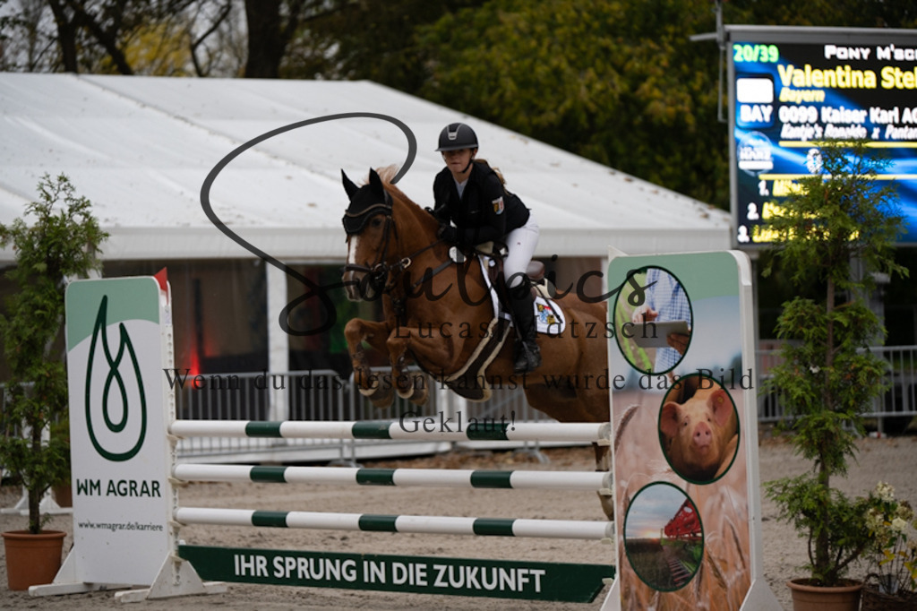 A7V00018 | Turnier/Reitfotograf