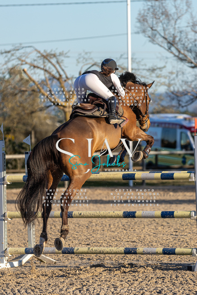 IMG_2825 | s-jay-photography - Realisiert mit Pictrs.com