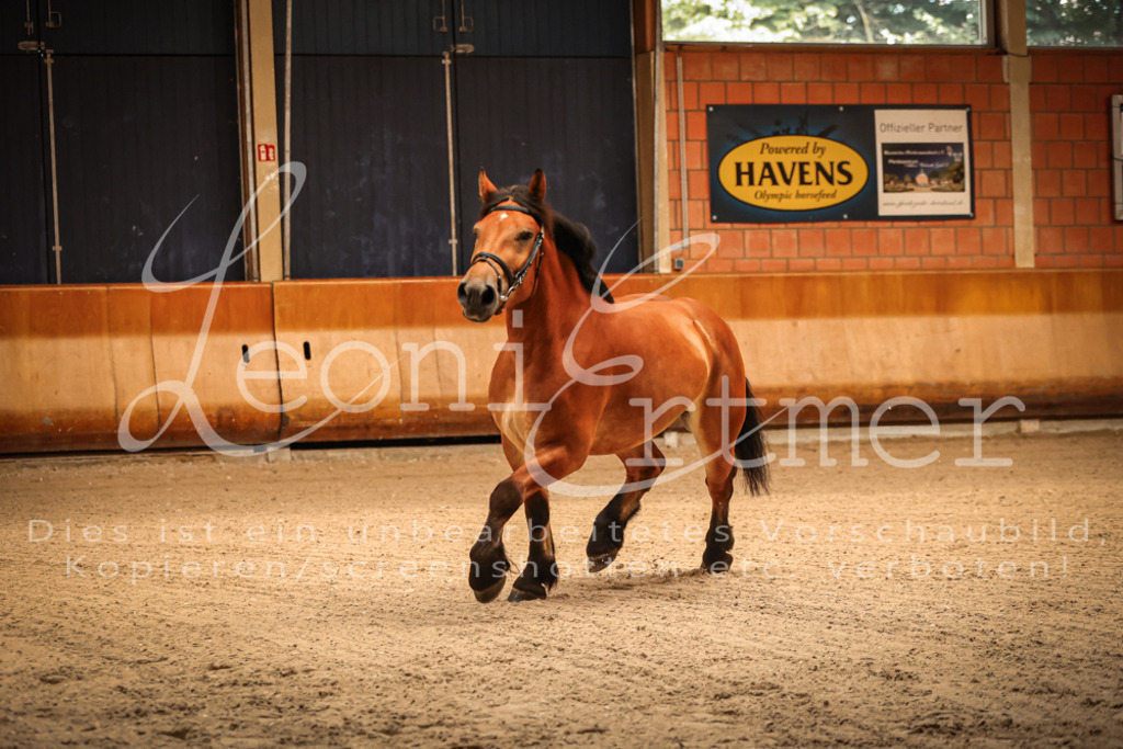 SaFL00021 | Leoni Ertmer Photography - Realisiert mit Pictrs.com