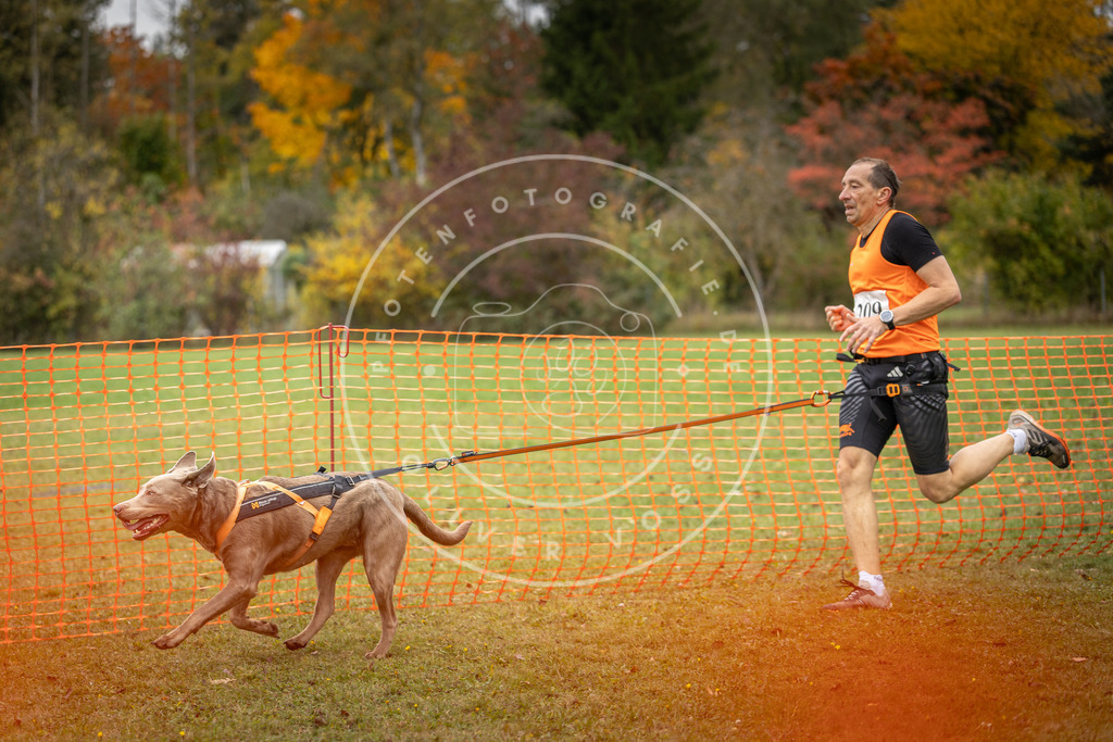 Pfotenfotografie_DV3A4009 | Hundefotografie, Tierfotograf, Pfotenfotografie, Fotoshooting Hund, Hunde Portrait, Hundesport, Hundeportraits, Heideshooting, Hunde, Sportfotograf, Hundefotograf, Turnierhundsport, THS,  - Realisiert mit Pictrs.com