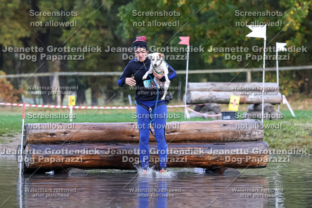 Dog Paparazzi - Strongdog 10-25-6655 | Dog Paparazzi Jeanette Grottendiek Fotografie & Videografie - Realisiert mit Pictrs.com