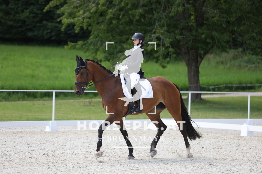 0P6A1449 | Willkommen bei Brunnmayr - Design & Fotografie – Ihrem Spezialisten für Reitturniere und Pferdeveranstaltungen in Oberösterreich, Salzburg und Bayern! Seit über 17 Jahren sind wir leidenschaftlich dabei.