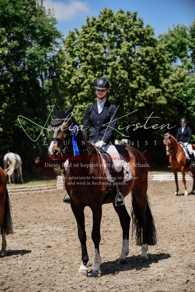 DSC_2046 | Pferde- und Turnierfotografie in Westsachsen. Pferdeportraits, Auftragszeichnungen und intuitive Kunst.