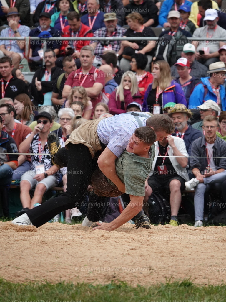 DSC04808 | Schwingen - Realisiert mit Pictrs.com