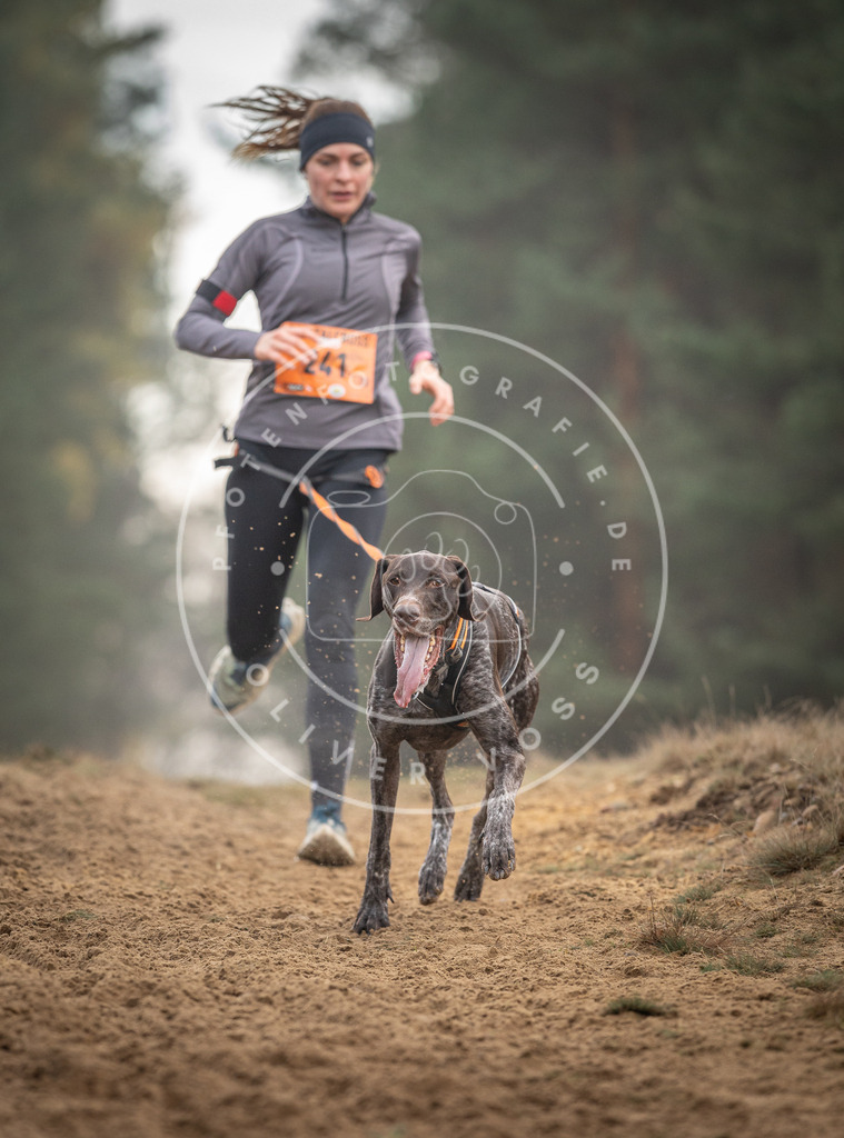 Pfotenfotografie_DV3A5699 | Hundefotografie, Tierfotograf, Pfotenfotografie, Fotoshooting Hund, Hunde Portrait, Hundesport, Hundeportraits, Heideshooting, Hunde, Sportfotograf, Hundefotograf, Turnierhundsport, THS,  - Realisiert mit Pictrs.com