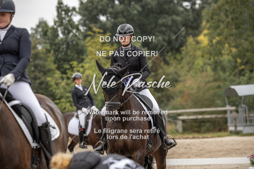 nelerasche_DrL_Ede_344 | nelerasche