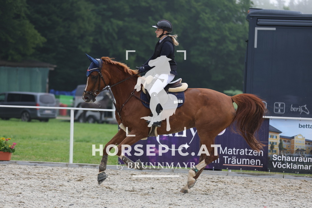 0P6A0178 | Willkommen bei Brunnmayr - Design & Fotografie – Ihrem Spezialisten für Reitturniere und Pferdeveranstaltungen in Oberösterreich, Salzburg und Bayern! Seit über 17 Jahren sind wir leidenschaftlich dabei.