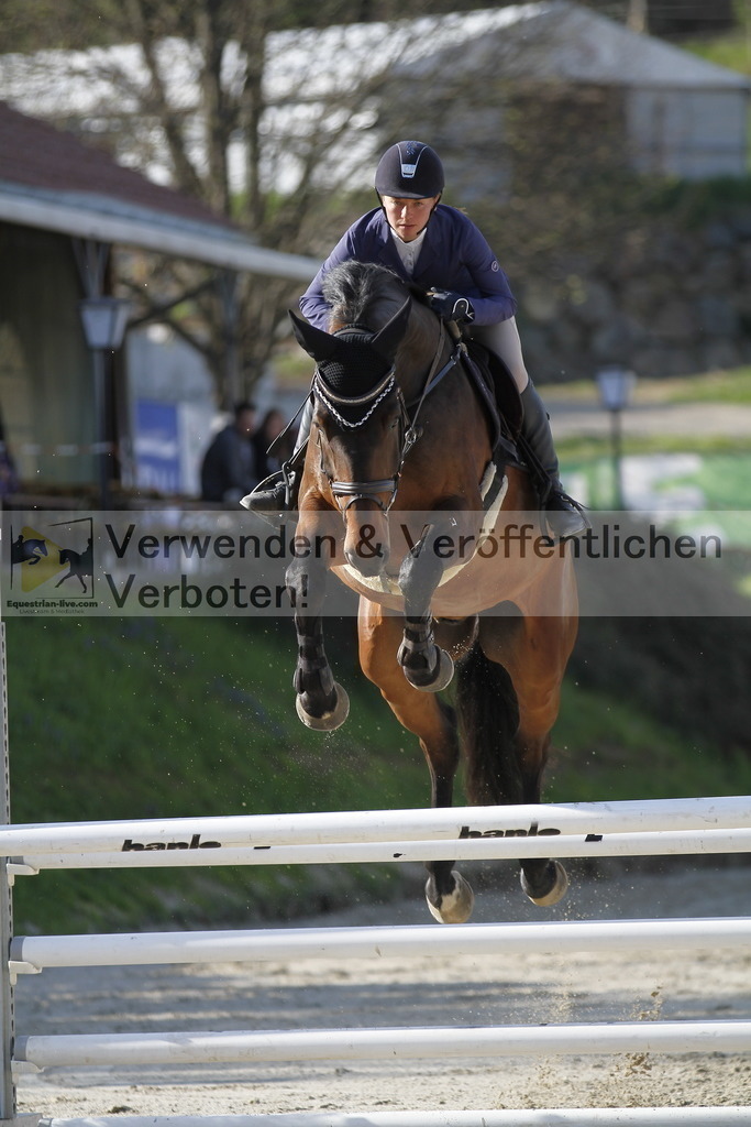 _MG_8358 | equestrian-live-com