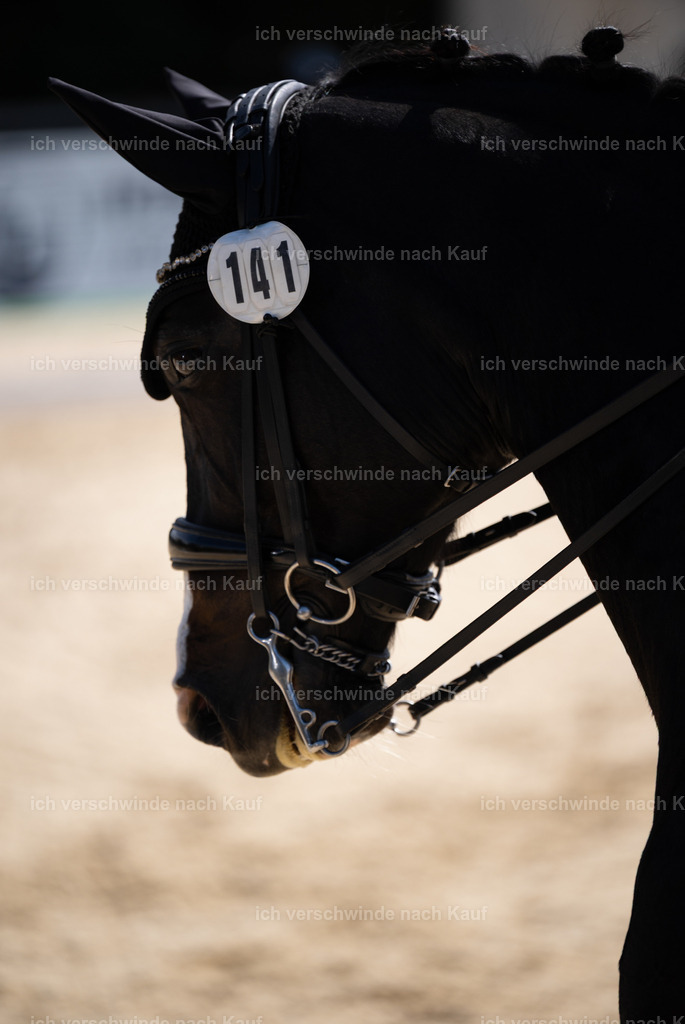FHC2026_P02_61_14051 | Fichtenhof Classics 2026 – Dressurturnier, Reitanlage Fichtenhof, Schäftlarn