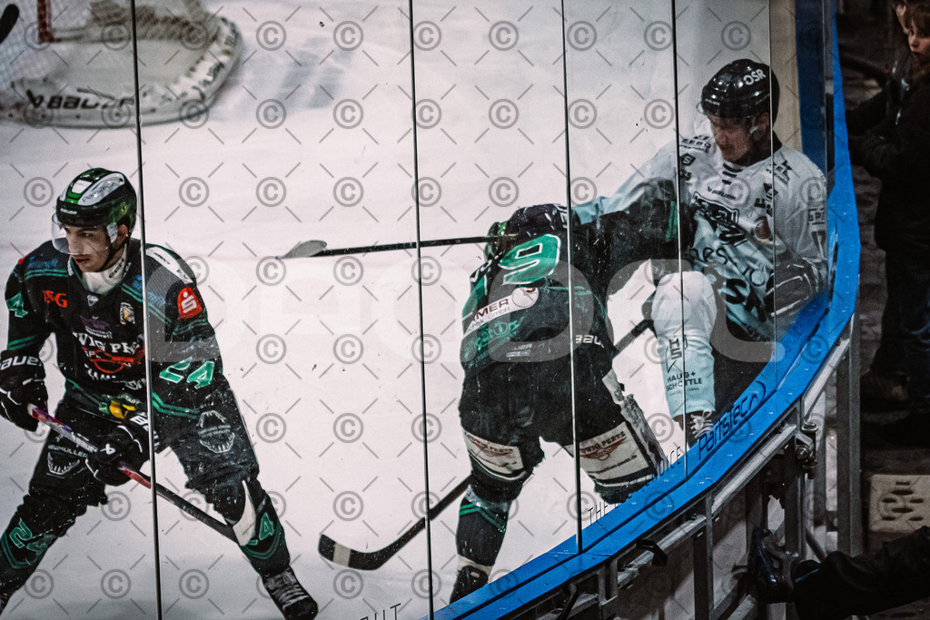 Alligators_vs_Lindau_21_12_2025-082 | Höchstadt Alligators Fotogalerie: Eishockey-Action aus Franken. Professionelle Spielfotos, Portraits & Stadionbilder zum Download. Jetzt entdecken! - Realisiert mit Pictrs.com
