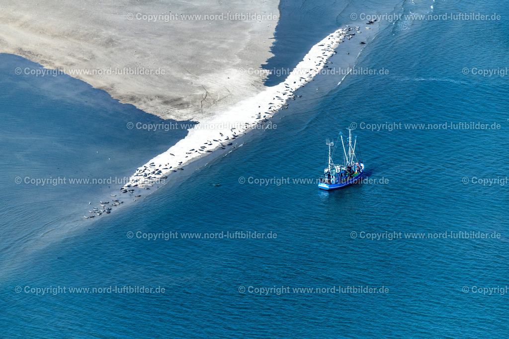 Langeoog_Seehundbänke_Robbenbänke_Krabbenkutter_ELS_8392050923 | LANGEOOG 05.09.2023 Seehund und Robben Bank in der Wattenmeerlandschaft am Oststrand auf der Insel Langeoog mit einen Krabbenkutter im Bundesland Niedersachsen, Deutschland. // Seal and seal bank in the Wadden Sea landscape on the eastern beach on the island of Langeoog with a shrimp boat in the state of Lower Saxony, Germany. Foto: Martin Elsen