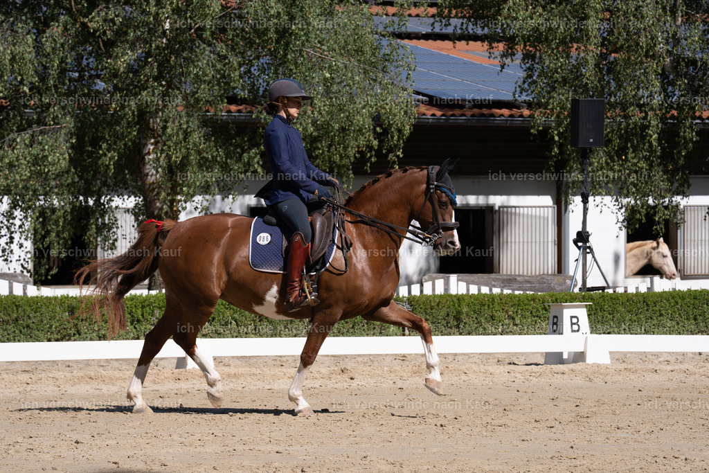 WL_DR_86_sinafilmart_IN07001 | working equitationturnier fotograf videograf stoibphotography marixx film working equitation deutschland reitsport turnierfotografie eventfotografie equestrian events