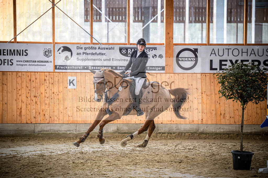 DOS_1921 | Entdecke hochwertige Reitturnierfotos von Foto Oger. Professionell, emotional und authentisch – jetzt Lieblingsmomente im Shop bestellen.Deutschlandweite Turnierfotografie. - Realisiert mit Pictrs.com