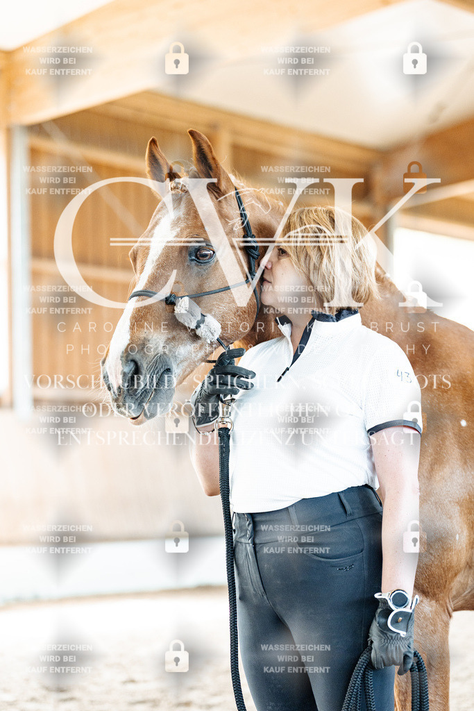 CK906624 | Turnierfotografie Pferdefotografie Trier Rheinland-Pfalz Pferdesport Reitsport Tierfotografie Sportfotografie Pferdevideo Pferdevideografie Equestrianvideography equestrianphotography  - Realisiert mit Pictrs.com