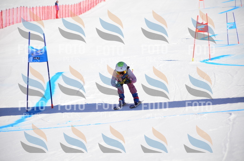 VR4_8473 | holidayphoto