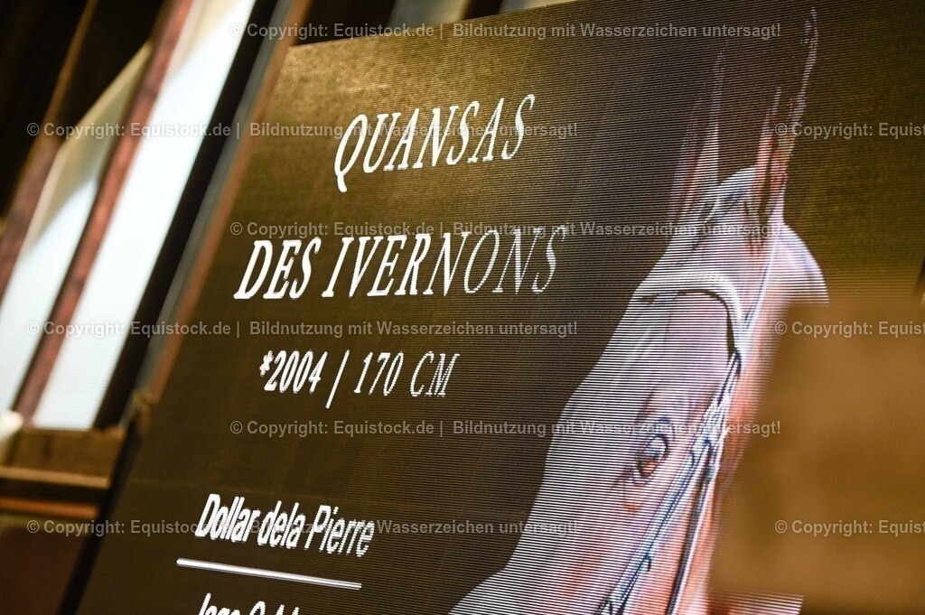20260307_Hengstvorstellung-Marbach_0069 | equistock
