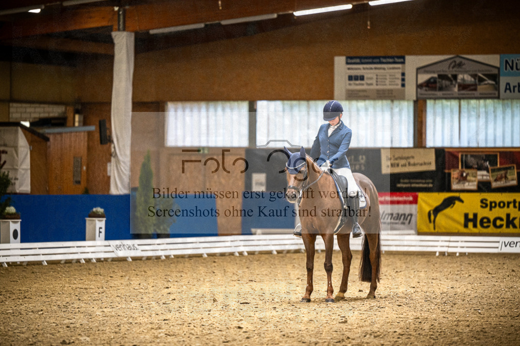 DOS_2029 | Entdecke hochwertige Reitturnierfotos von Foto Oger. Professionell, emotional und authentisch – jetzt Lieblingsmomente im Shop bestellen.Deutschlandweite Turnierfotografie. - Realisiert mit Pictrs.com