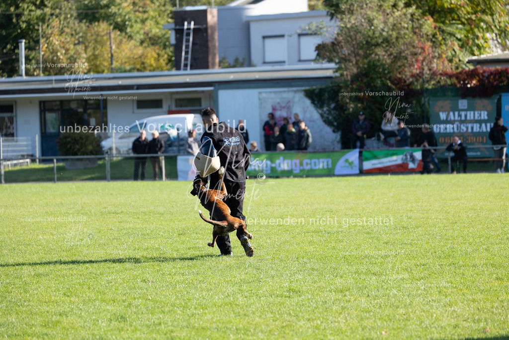 _16A5110 | Einzigartige Fotos von Hunden & Menschen –Actionfotos, Portraits, Vereinsaufnahmen & Paarshootings – authentisch, lebendig & mit Herz.